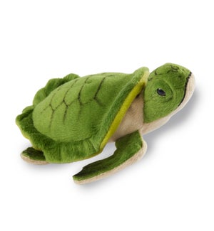 TURTLE/Glades - 5"