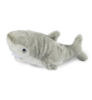 SHARK/Smyrna - 5"