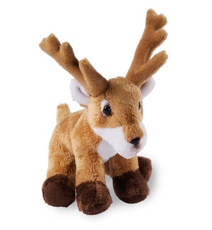 DEER/Daya - 5"