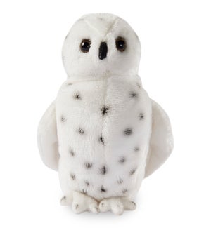 OWL/Oscar - 5"