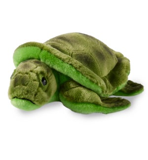 TURTLE/Glades - 9"
