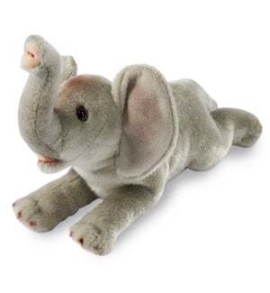 ELEPHANT/Keith - 9"