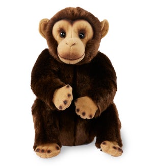 CHIMP/Cameron - 9"