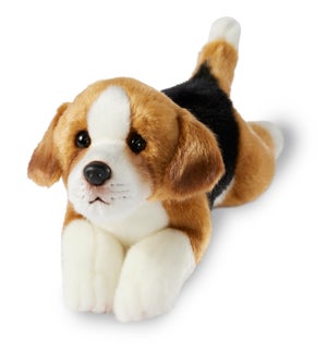 DOG/Beagle – Anthony 9"