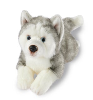 DOG/Husky – Maria 9"