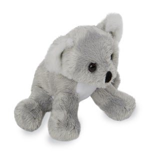 KOALA/Sydney - 5"