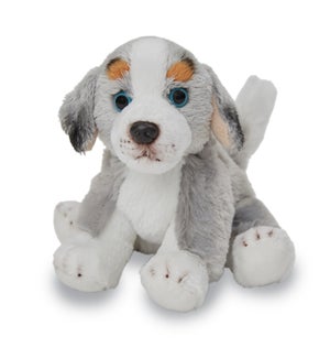 DOG/Austr. Sheep - Sheila 5"