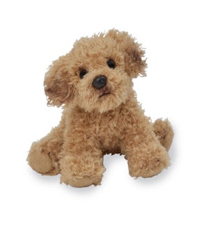 DOG/Golden Doodle - Leo 5"