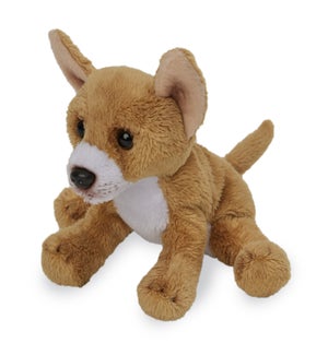 DOG/Chihuahua – Chico 5"