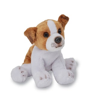 DOG/Jack Russell – Jack 5"