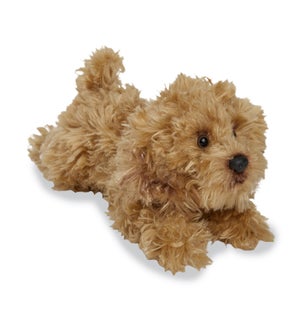DOG/Golden Doodle – Leo 9"