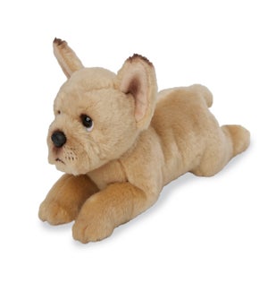 DOG/French Bulldog – Bryan 9"