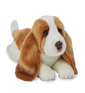DOG/Basset Hound – Hayes 14"