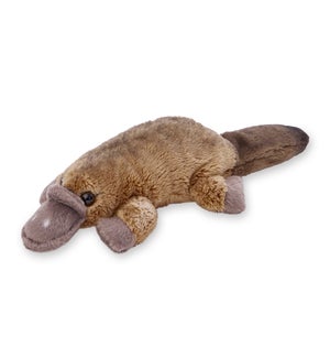 PLATYPUS/Poppy - 5"