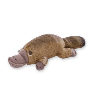 PLATYPUS/Poppy - 9"