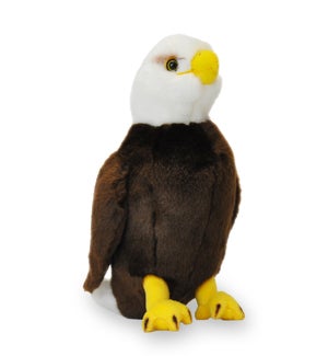EAGLE/Scout - 9"