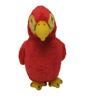 PARROT/Polly - 5"