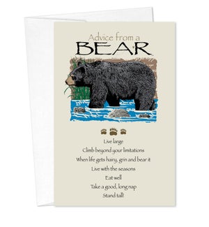 BD/Advice Bear