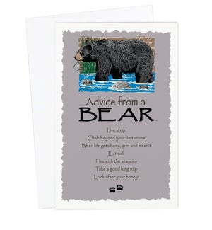ED/Advice Bear