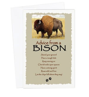 ED/Advice Bison