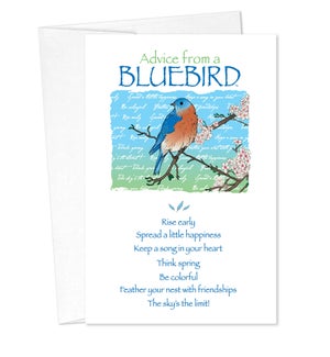 BD/Advice Bluebird