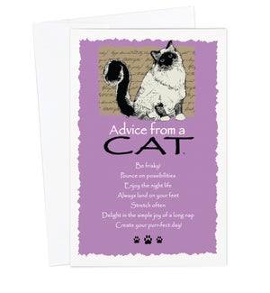 ED/Advice Cat
