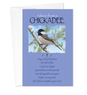 BD/Advice Chickadee