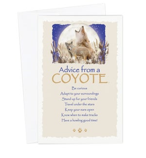 ED/Advice Coyote