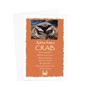 ED/Advice Crab