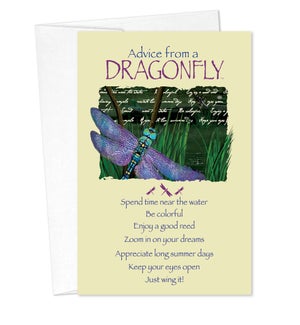BD/Advice Dragonfly
