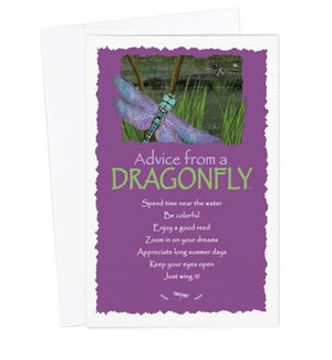 ED/Advice Dragonfly