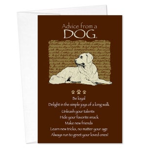 BD/Advice Dog