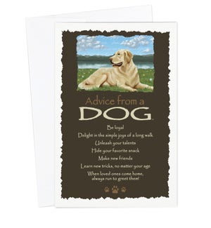 ED/Advice Dog