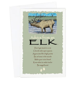 ED/Advice Elk