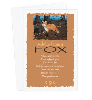 ED/Advice Fox