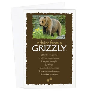 ED/Advice Grizzly