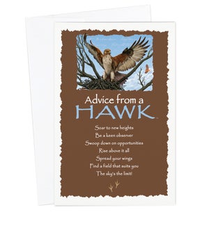 ED/Advice Hawk