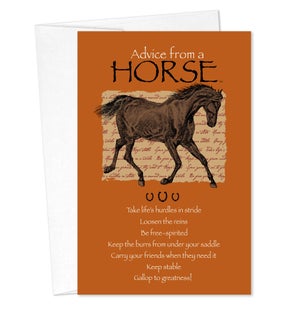 BD/Advice Horse
