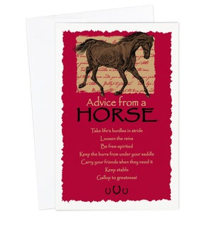 ED/Advice Horse