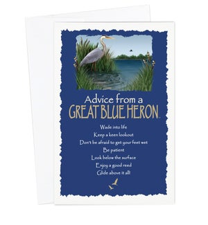 ED/Advice Great Blue Heron