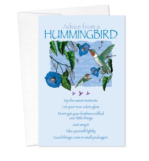 BD/Advice Hummingbird