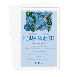 ED/Advice Hummingbird