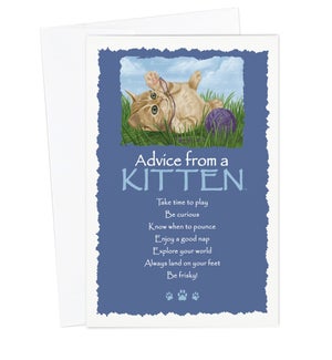 ED/Advice Kitten