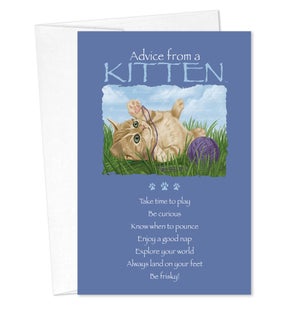 FR/Advice Kitten