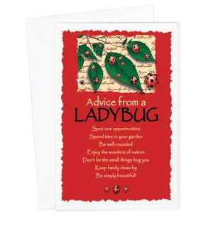 ED/Advice Ladybug