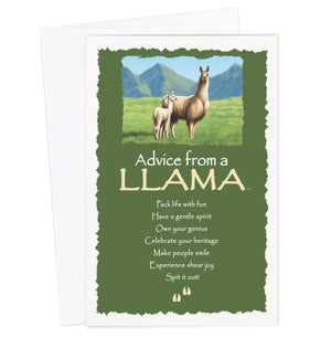 ED/Advice Llama