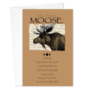 BD/Advice Moose