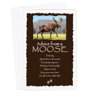 ED/Advice Moose