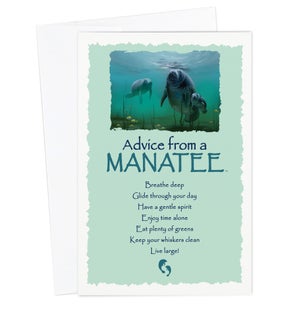 ED/Advice Manatee
