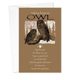 BD/Advice Owl
